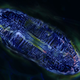 Illustration for article titled The Best Science Visualizations of the Year